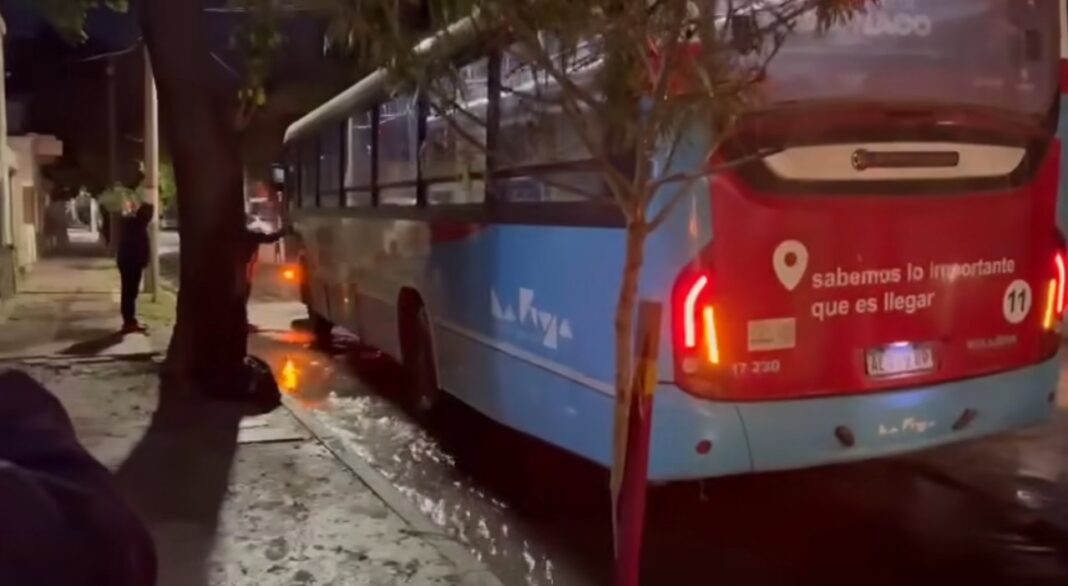 Indignación en La Rioja: Un colectivo se hundió en el asfalto y la bronca vecinal estalla contra el municipio