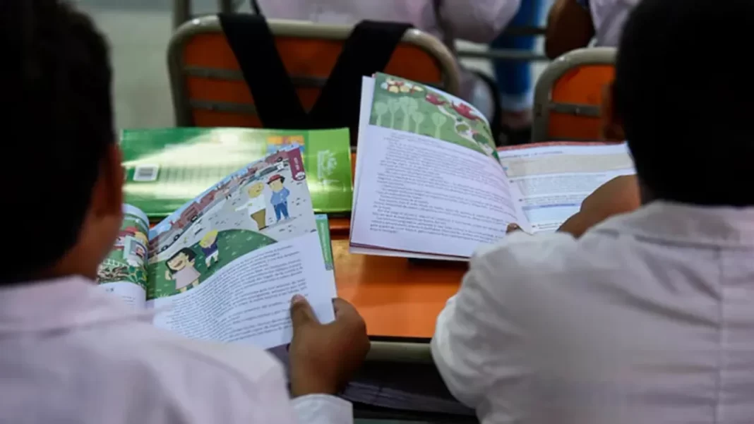 Alarma educativa: en Argentina, 1 de cada 2 chicos de tercer grado no comprende lo que lee