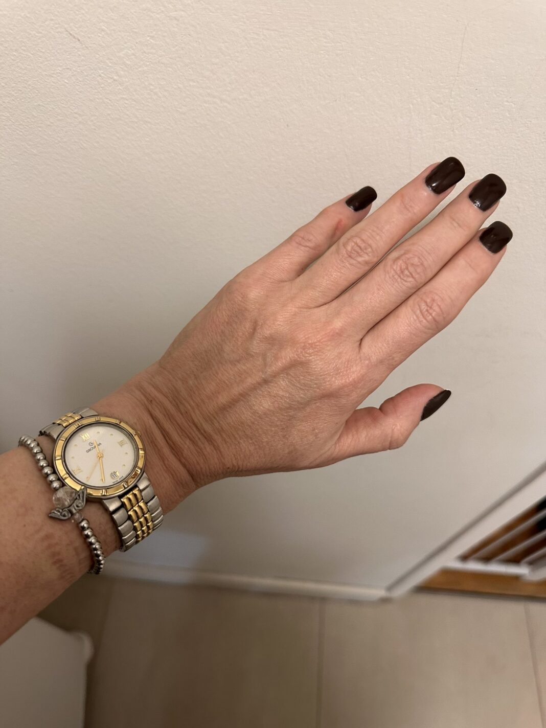 Karina Milei denuncia campaña sucia y desmiente acusaciones sobre un reloj de lujo